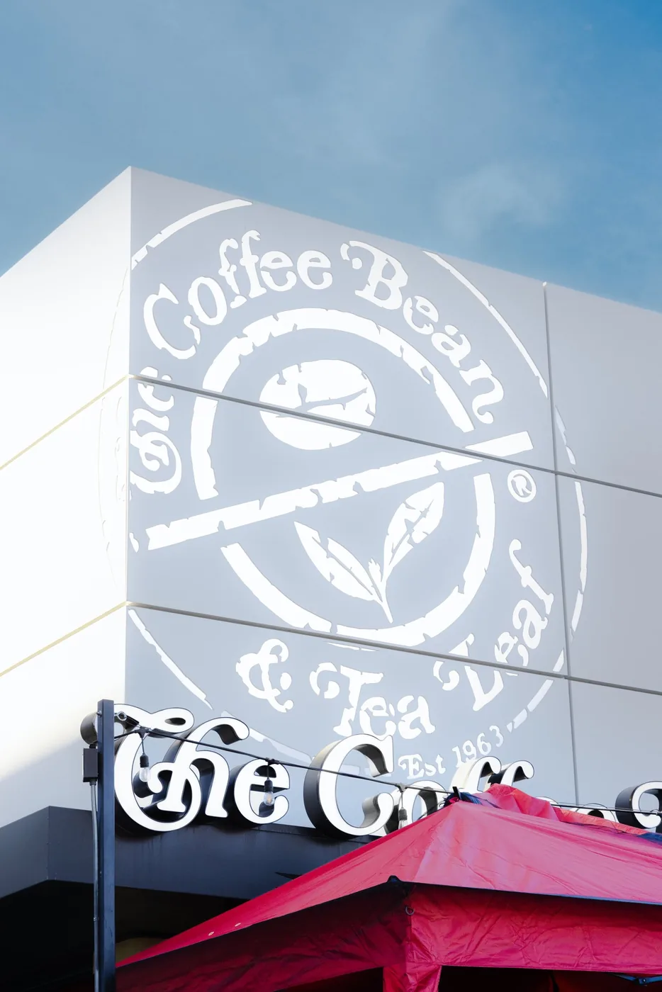 Coffee Bean & Paws Patrol, brand photography by Micah David