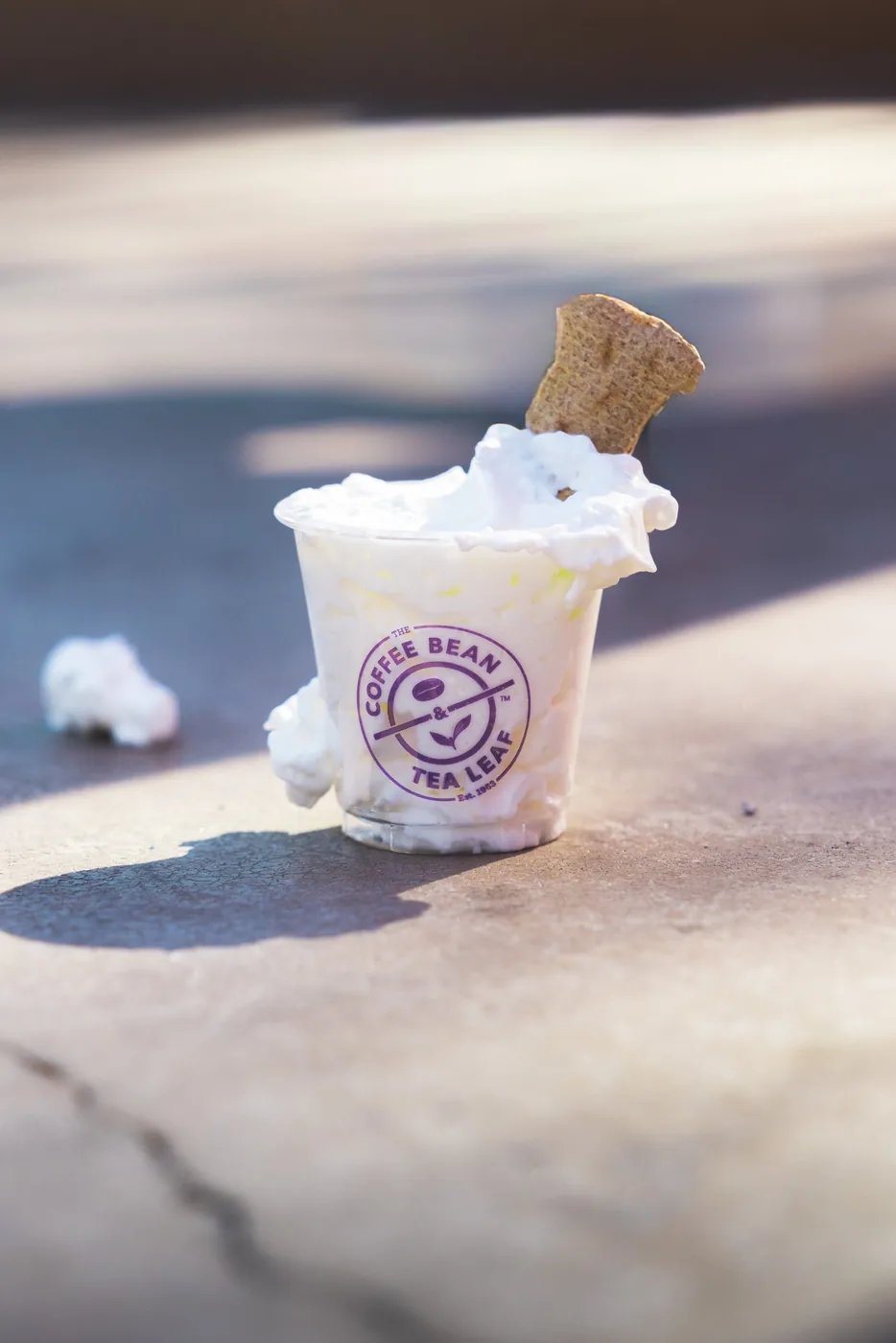 Coffee Bean & Paws Patrol, brand photography by Micah David