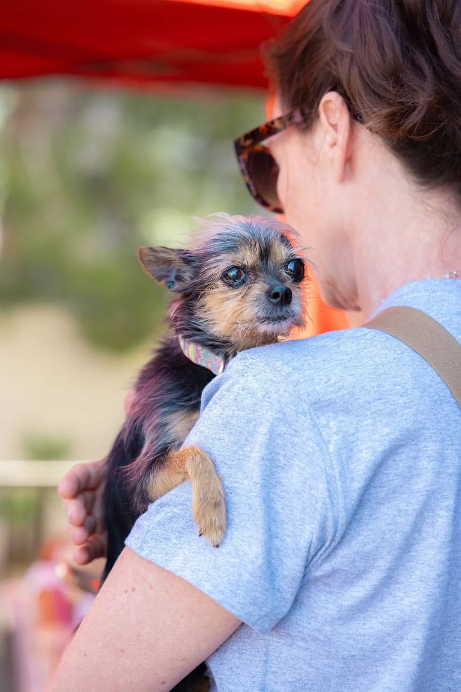 Coffee Bean & Paws Patrol, brand photography by Micah David