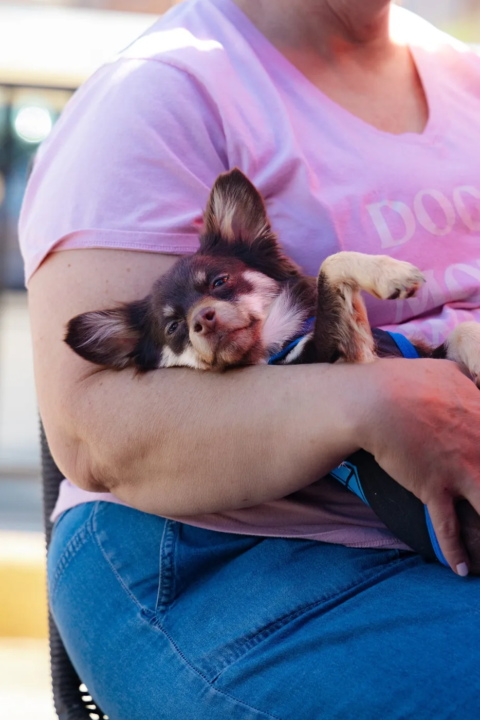 Coffee Bean & Paws Patrol, brand photography by Micah David