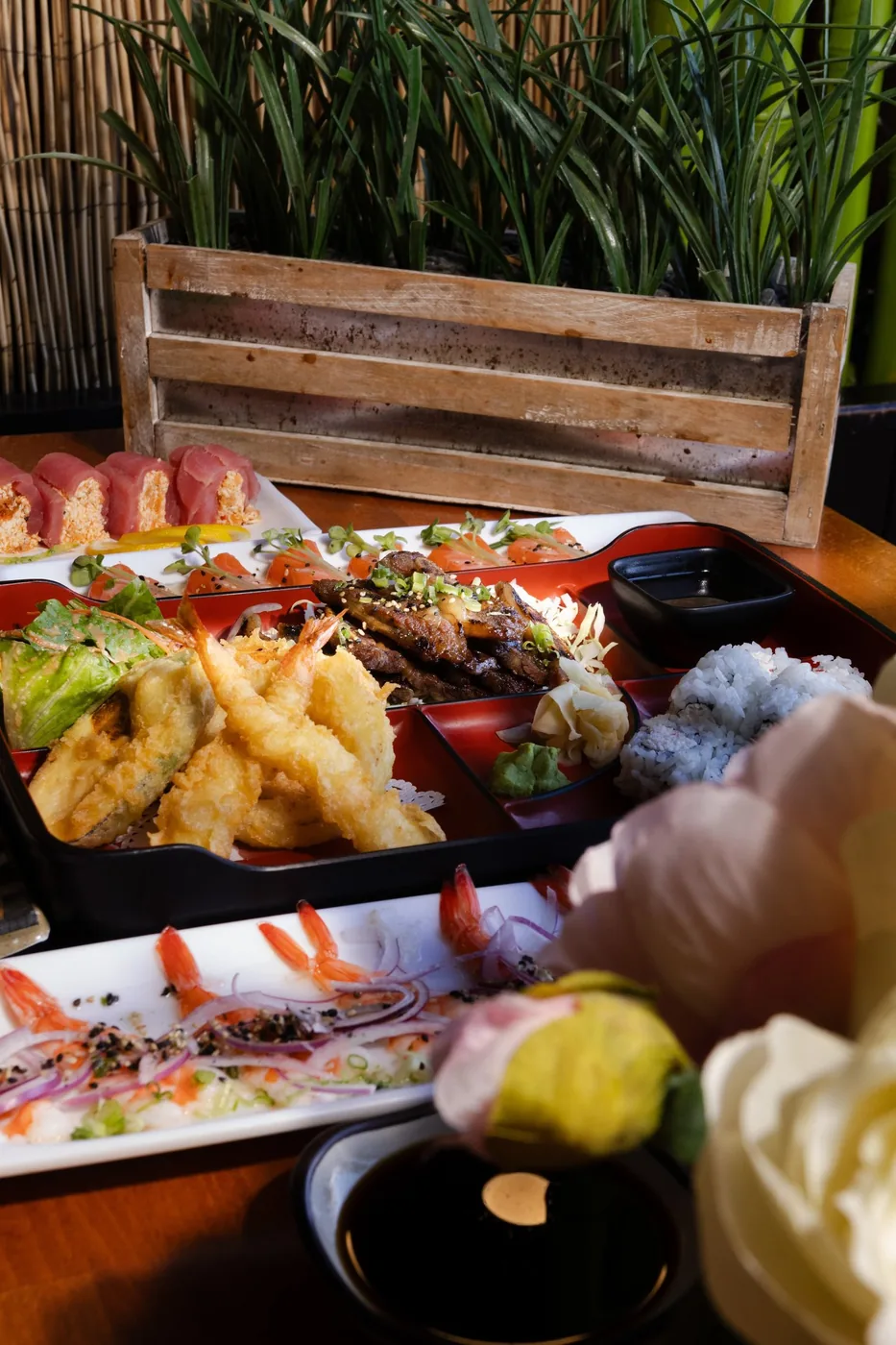 Sushi Mon, brand photography by Micah David